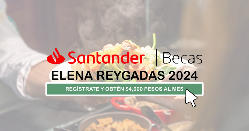 Becas Santander de Gastronomía 2024